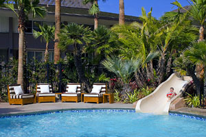 Pool & Waterslide photo