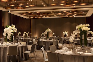 Meeting/Banquet Space photo