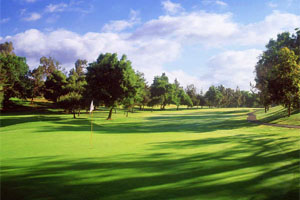 Golf photo