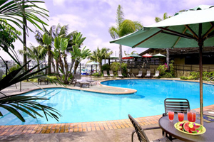 Swimming Pools photo