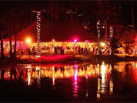 Duck Pond photo