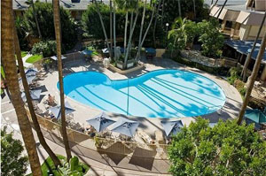 Swimming Pool photo