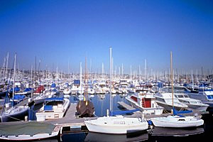 Marina photo