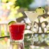 Town and Country Dining photo