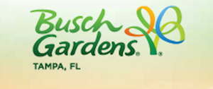 Vacation Package Busch Gardens Tampa Bay Family Vacation Package